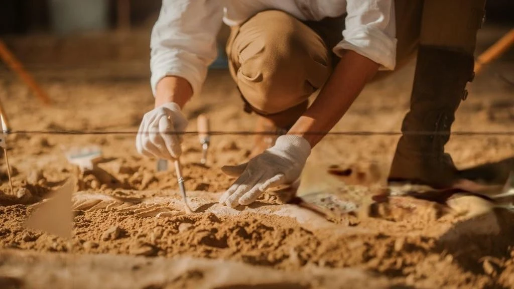 Consultorías en Arqueología